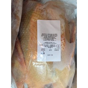 Moskus �nder frost